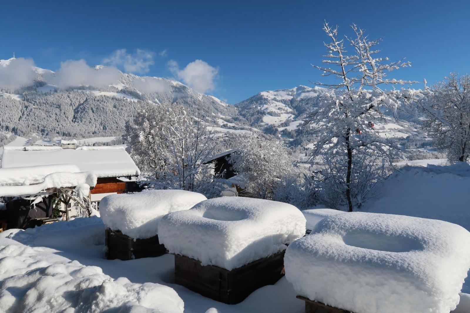 Retro Apartment Kitzbuehel Екстер'єр фото